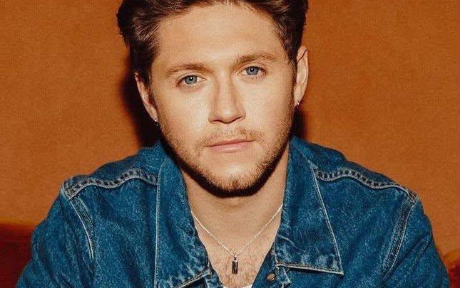 ¡Niall Horan en el ojo del huracán por un polémico “like”!