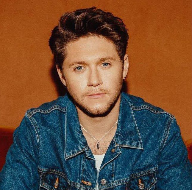 ¡Niall Horan en el ojo del huracán por un polémico “like”!